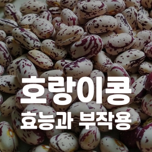 호랑이콩 효능과 부작용