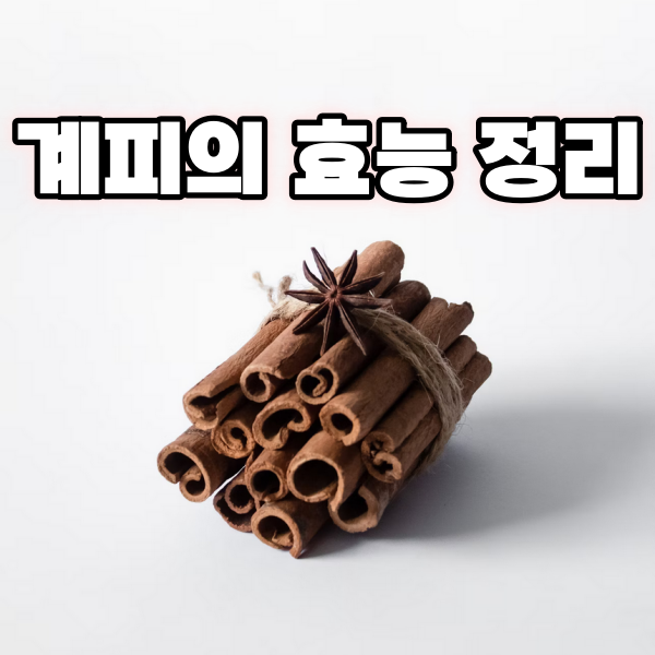 계피의 효능 정리