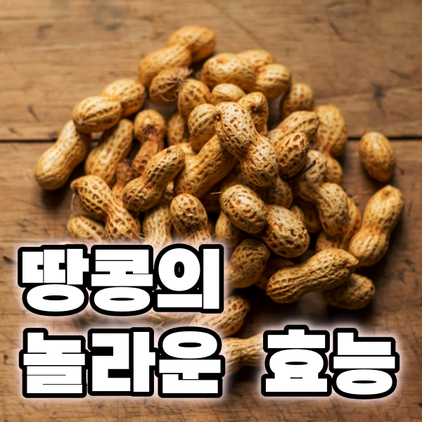 땅콩의 놀라운 건강 효능과 현명한 섭취법